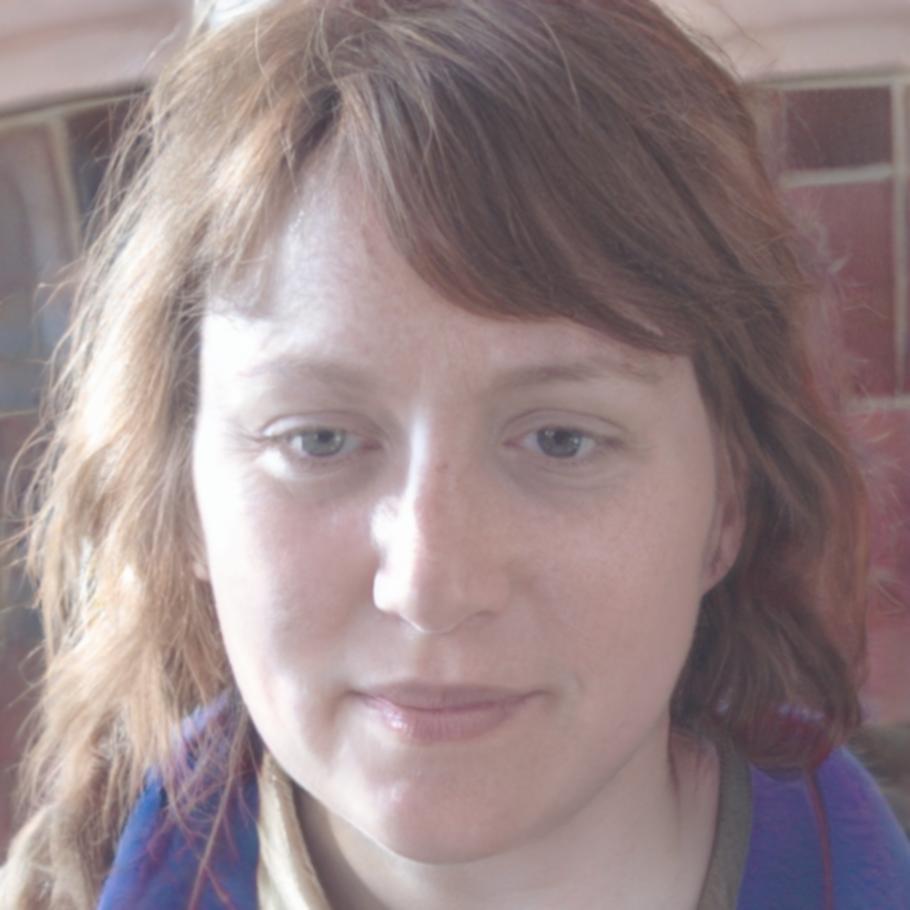 Friederike Ahrens, Finanzplanerin